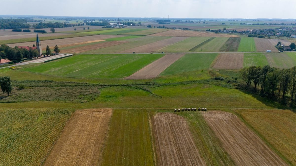 Działka rolna na sprzedaż Sieraków Śląski, Wyzwolenia  6 792m2 Foto 6