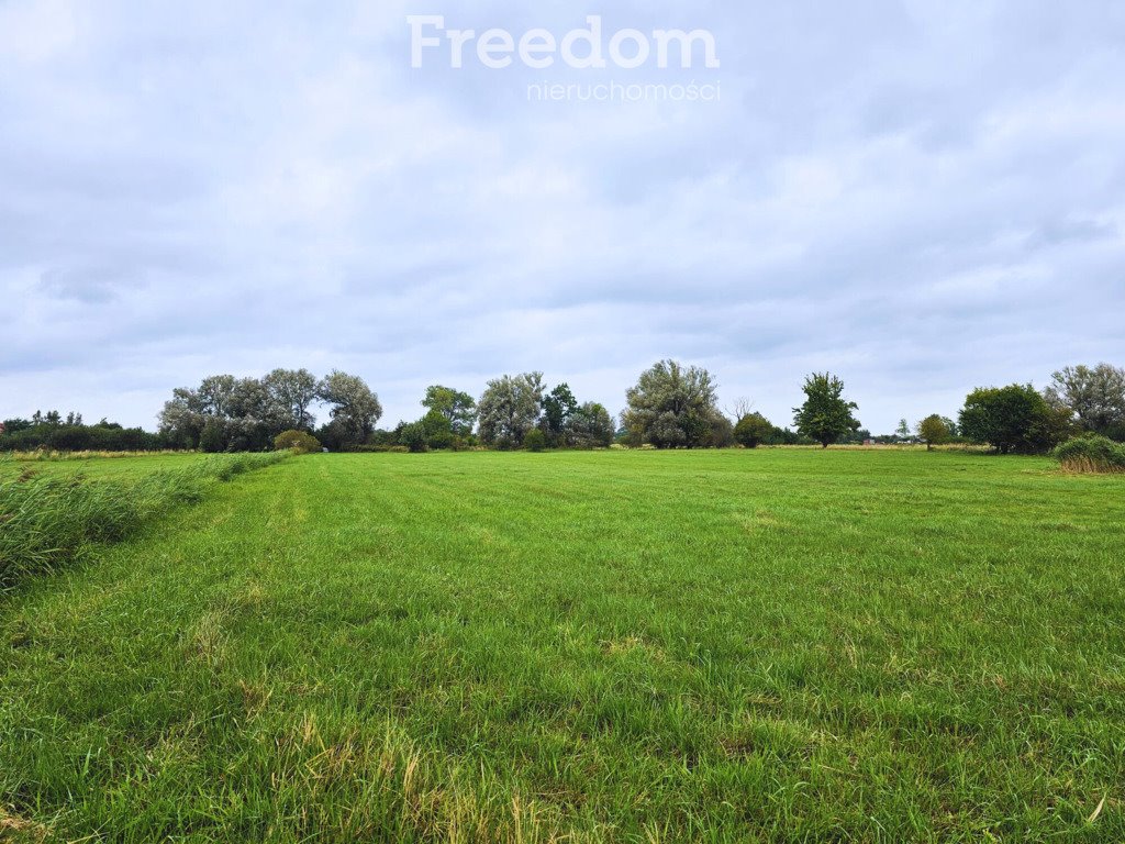 Działka inna na sprzedaż Zastań  14 900m2 Foto 3