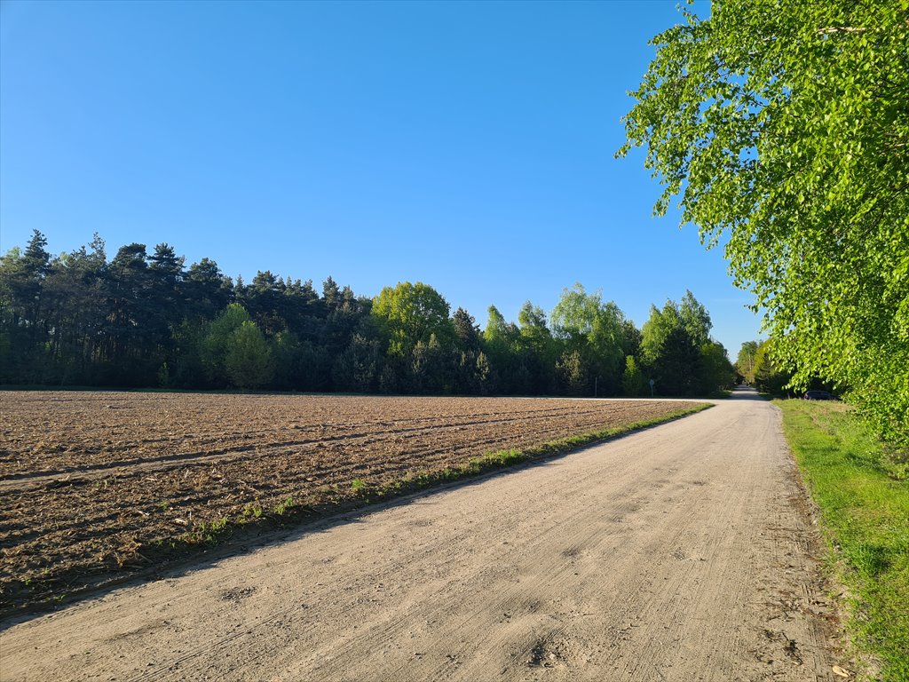 Działka budowlana na sprzedaż Sochaczew, Wypalenisko, Przylasek  3 820m2 Foto 5