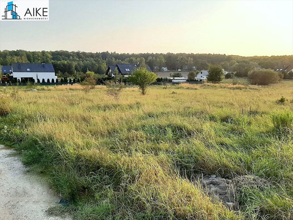 Działka budowlana 4 318 m² z warunkami zabudowy i uzbrojeniem Czpielsk, Pelargonii  4 318m2 Foto 1