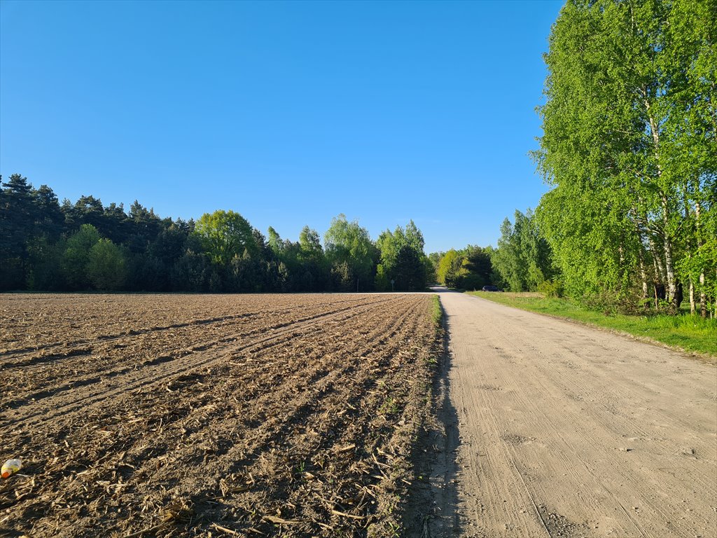 Działka budowlana na sprzedaż Sochaczew, Wypalenisko, Przylasek  3 820m2 Foto 6