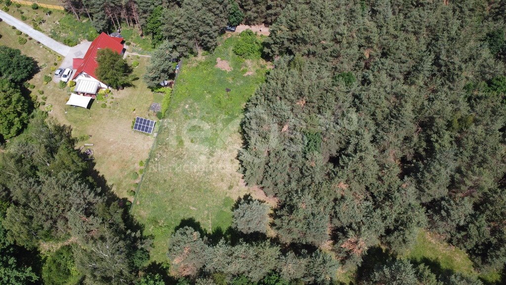 Sprzedam działkę 3000m² z warunkami zabudowy w Gola Wielka Gola Wielka  3 000m2 Foto 1