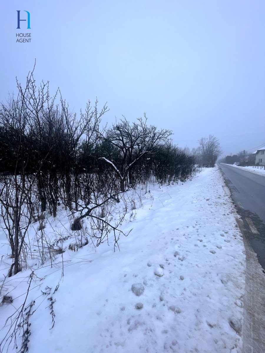 Działka rolna na sprzedaż Janów  6 000m2 Foto 10