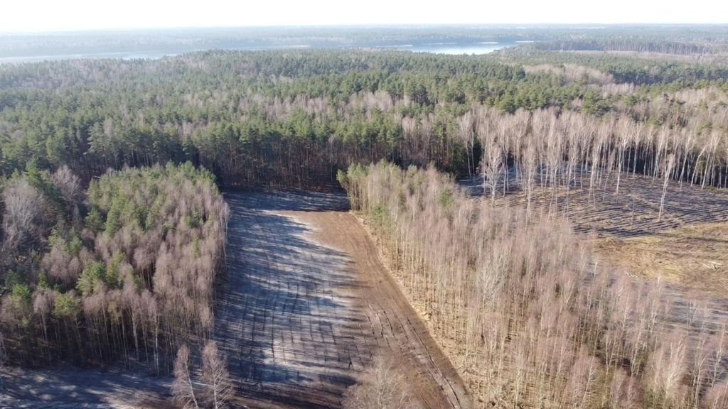 Działka budowlana na sprzedaż Dąbrowica  1 000m2 Foto 8