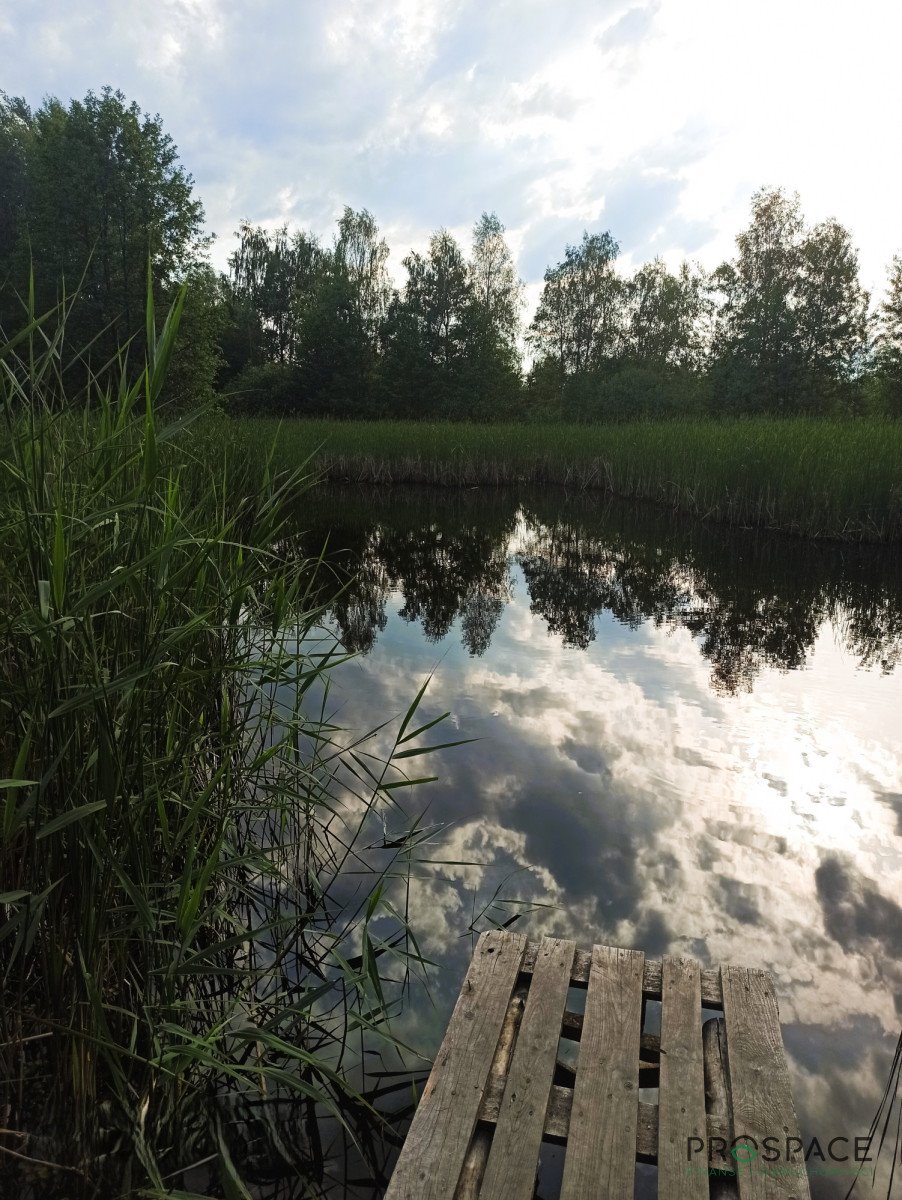 Działka z lasem i stawem 66,7 ha – inwestycja lub rekreacja Nowa Sól, Zakęcie  66 674m2 Foto 1