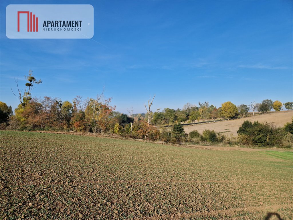 Działka gospodarstwo rolne na sprzedaż Żnin, Wilczkowska  10 800m2 Foto 9