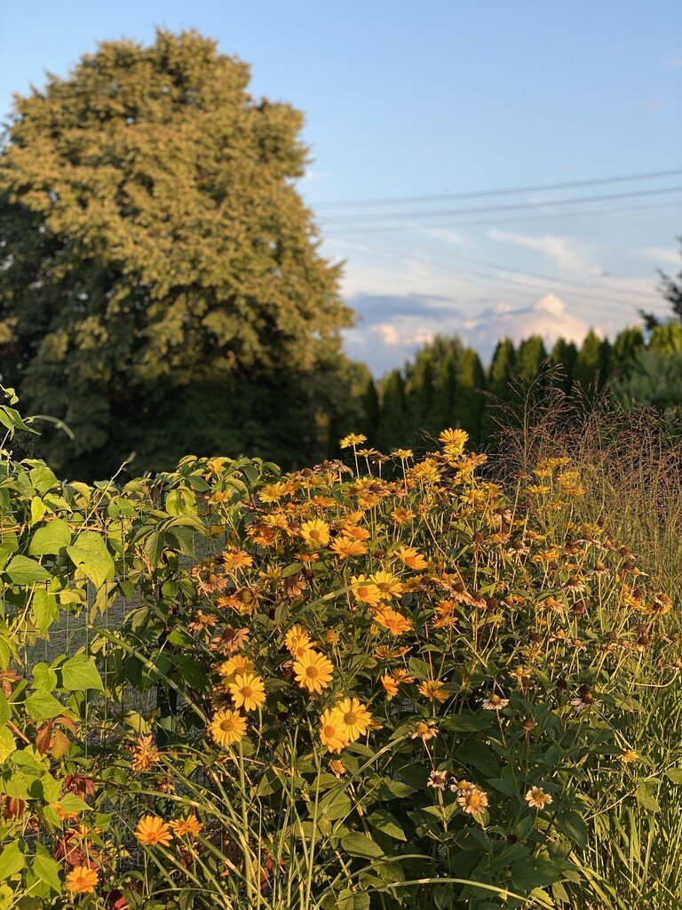 Działka budowlana 1100 m² z mediami, spokojna okolica Opole, Żerkowice  1 100m2 Foto 1
