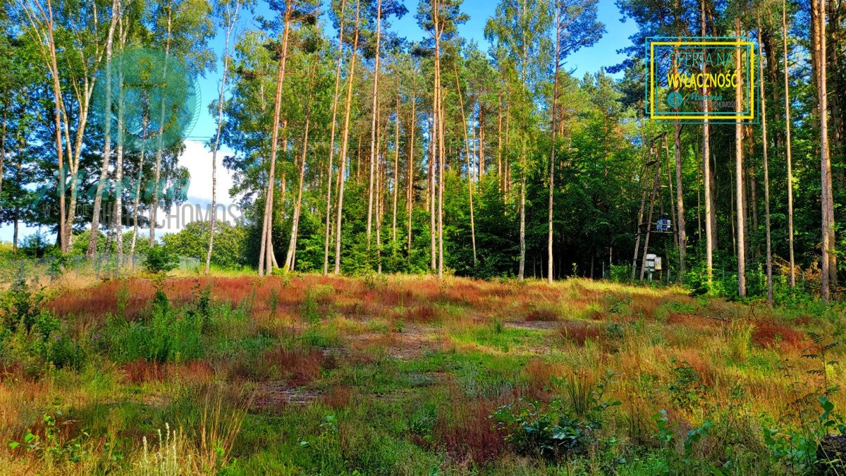 Działka budowlana na sprzedaż Kamień, Nad Brzegiem  1 501m2 Foto 3