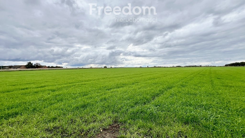 Działka inna na sprzedaż Kukułowo  112 000m2 Foto 8