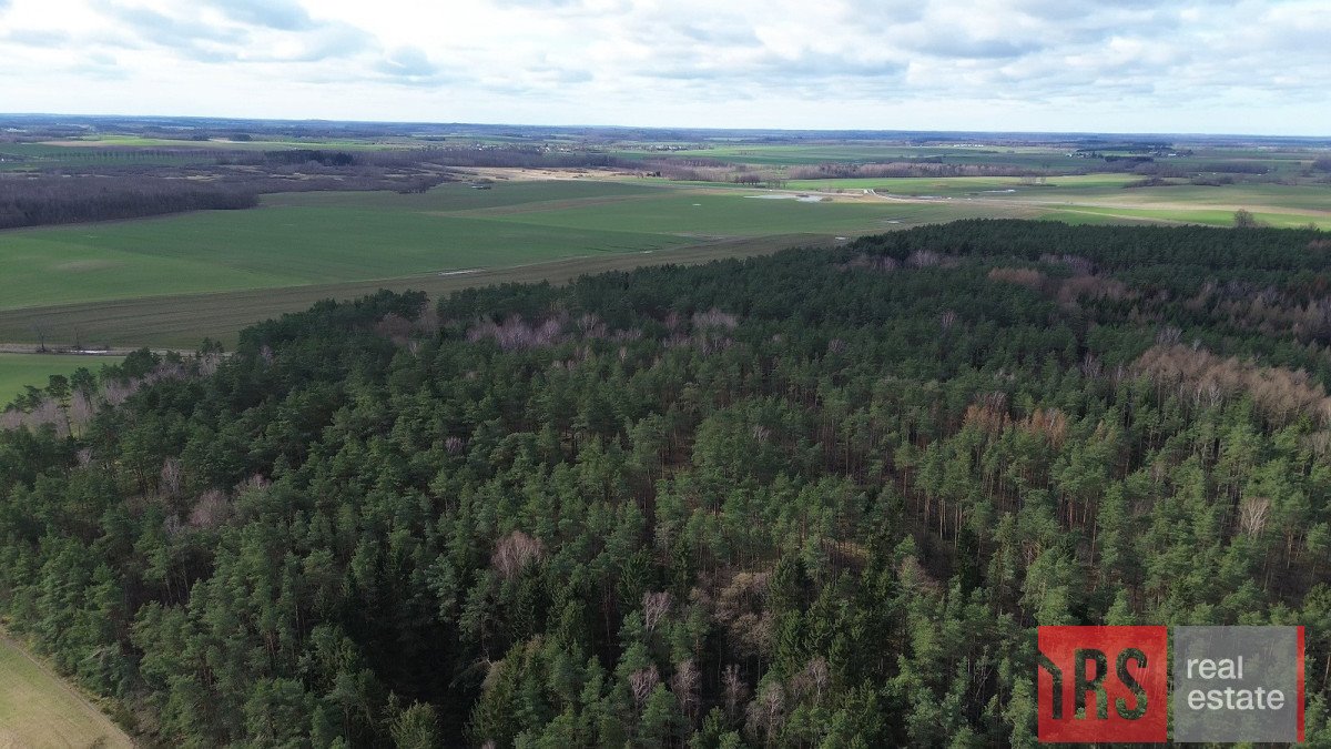 Działka budowlana na sprzedaż Niemierze  3 000m2 Foto 4