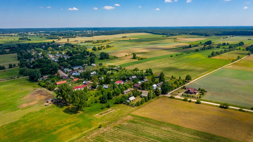 Działka rolna na sprzedaż Mieleszki-Kolonia  3 003m2 Foto 4