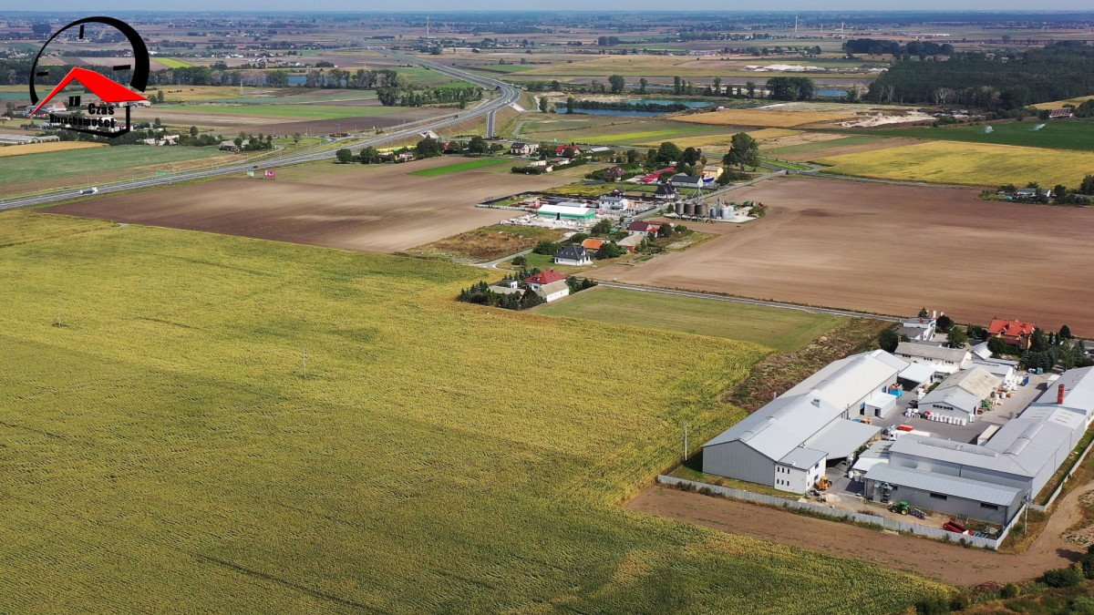 Działka przemysłowo-handlowa na sprzedaż Przedbojewice  4 800m2 Foto 11