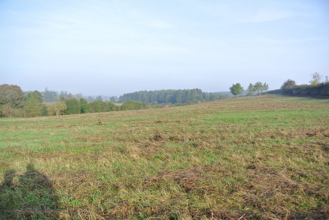 Zapraszam do obejrzenia działki 29 092 m² w Sobkowie Sobków  25 102m2 Foto 1