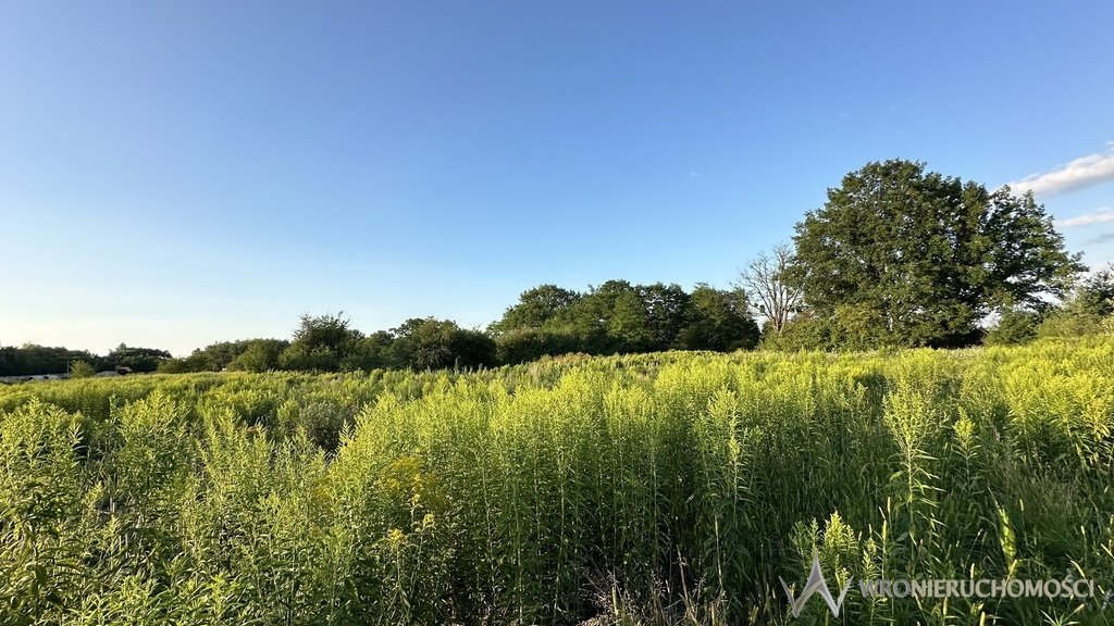 Działka inwestycyjna na sprzedaż Miłoszyce  5 800m2 Foto 1