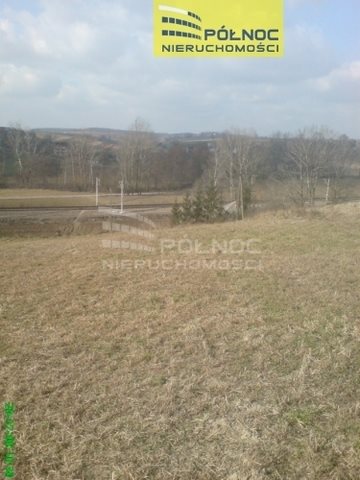 Działka budowlana na sprzedaż Orłów  10 271m2 Foto 14