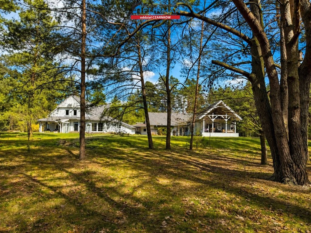 Urokliwe siedlisko w lesie z 4 pokojami i 8449 m² działki Zielonowo  220m2 Foto 1