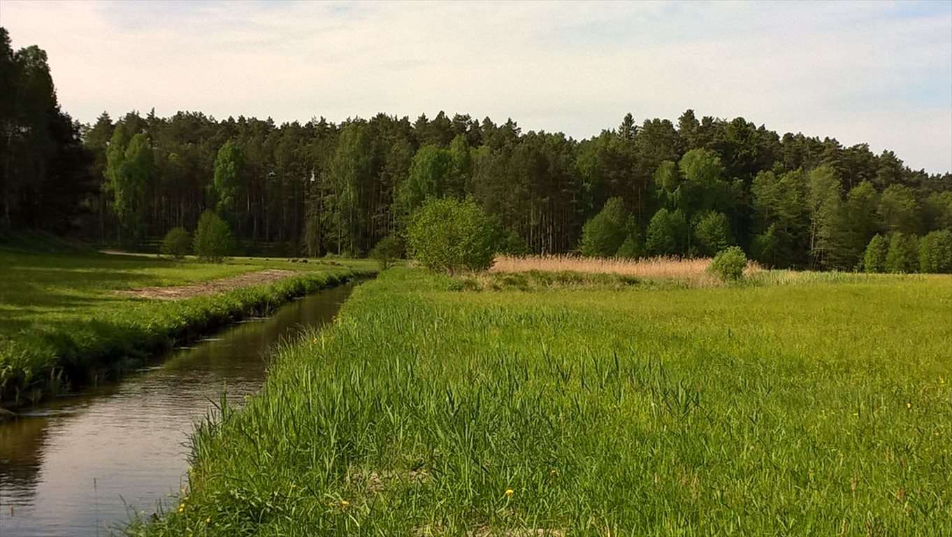 Działka budowlana na sprzedaż Bory Tucholskie, Nad Rzeką, Duże Krówno 47 4 973m2 Foto 1 Działka budowlana na sprzedaż Bory Tucholskie, Nad Rzeką, Duże Krówno 47 4 973m2 Foto 1