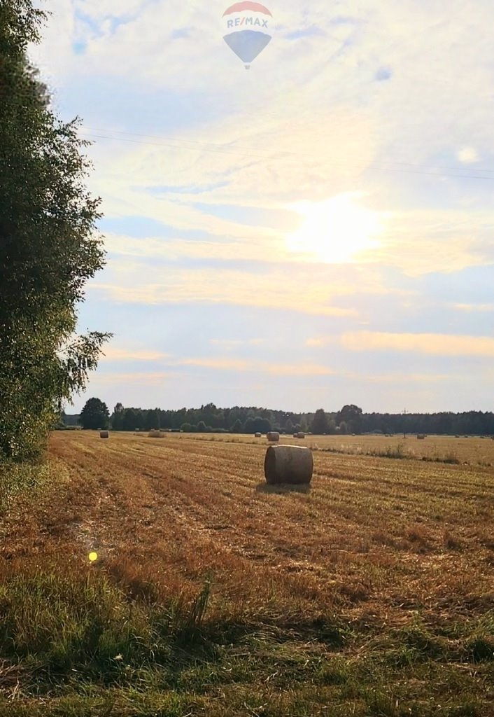 Działka rolna na sprzedaż Wólka Kościeniewicka  11 204m2 Foto 4