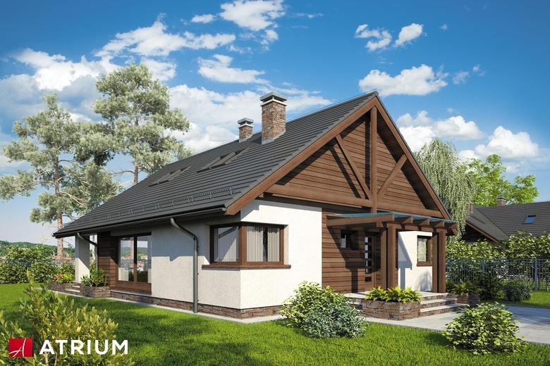 Dom na sprzedaż Goszyce, Goszyce  302m2 Foto 1
