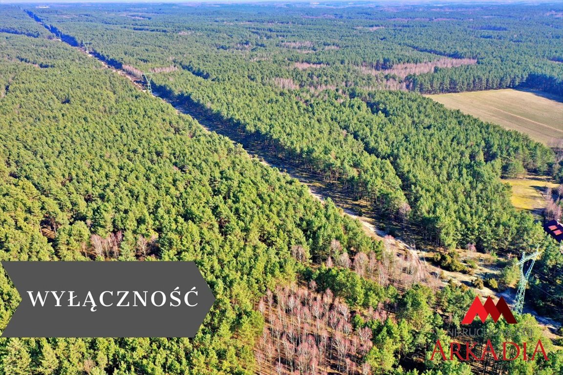 Działka 12 600 m² z lasem w Bobrownickim Polu, atrakcyjna cena Bobrownickie Pole  12 600m2 Foto 1