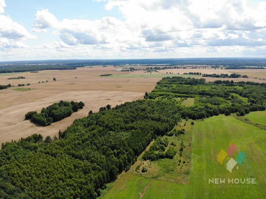 Działka rolna na sprzedaż Henrykowo  123 262m2 Foto 6