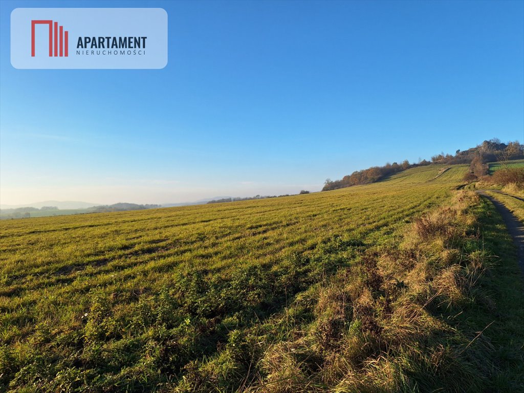 Działka gospodarstwo rolne na sprzedaż Pomocne  30 000m2 Foto 4