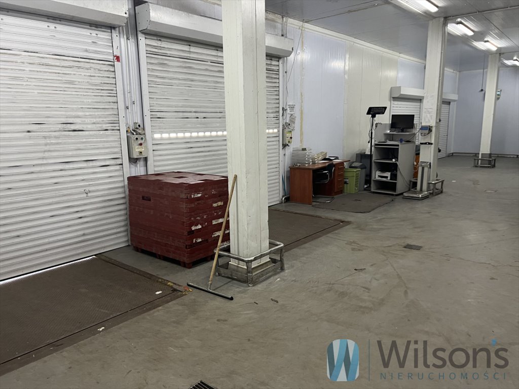 Lokal użytkowy na wynajem Nowe Lipiny, Szosa Jadowska  3 000m2 Foto 1