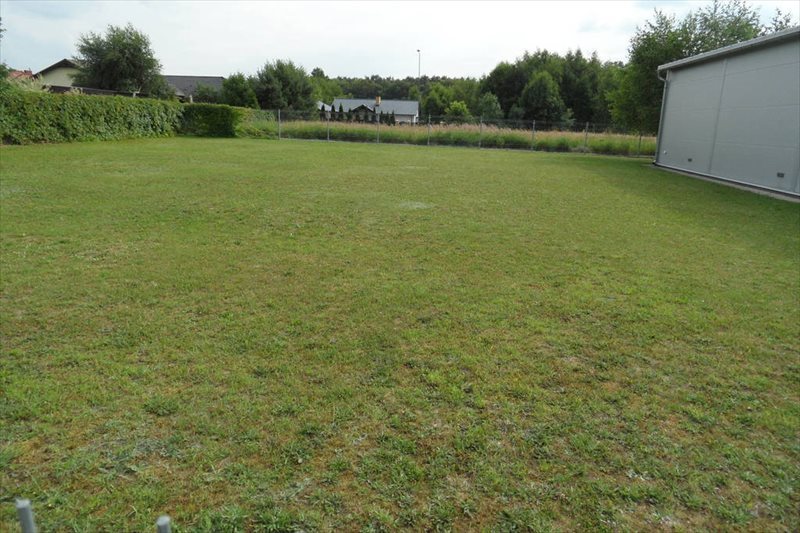 Działka inna pod dzierżawę Mechlin 560m2 Foto 1 Działka inna pod dzierżawę Mechlin 560m2 Foto 1
