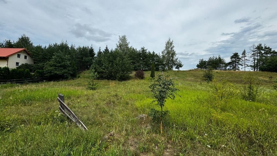 Działka budowlana na sprzedaż Płociczno  1 500m2 Foto 2