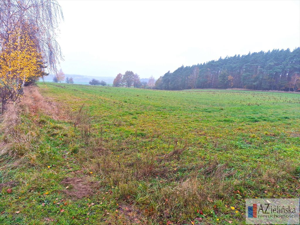 Działka rolna na sprzedaż Poznań, Glinienko  40 000m2 Foto 4