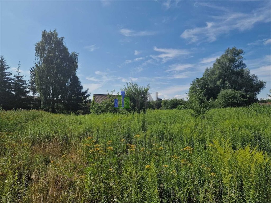 Działka budowlana 622 m² z mediami w Kamieńcu Wrocławskim - polecam! Kamieniec Wrocławski  622m2 Foto 1