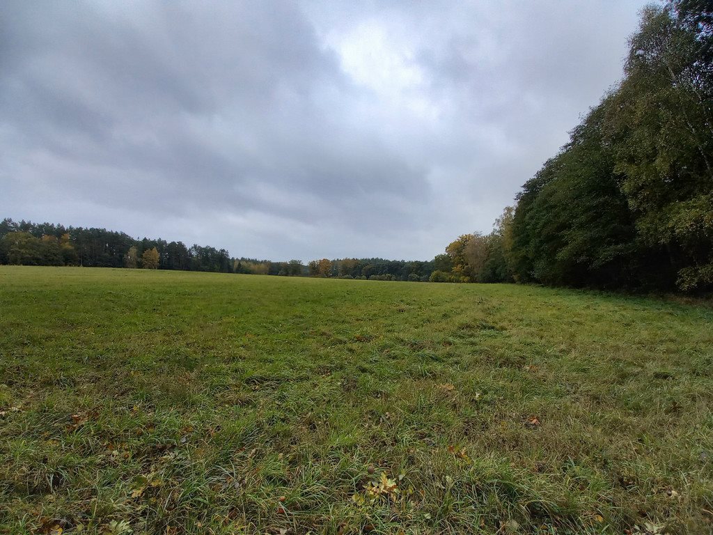 Działka inwestycyjna na sprzedaż Sarbsk  254 000m2 Foto 2