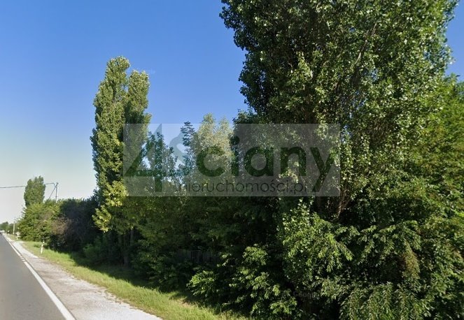 Na sprzedaż działka 1727 m² pod handel i usługi w Otrębusach Otrębusy  1 727m2 Foto 1