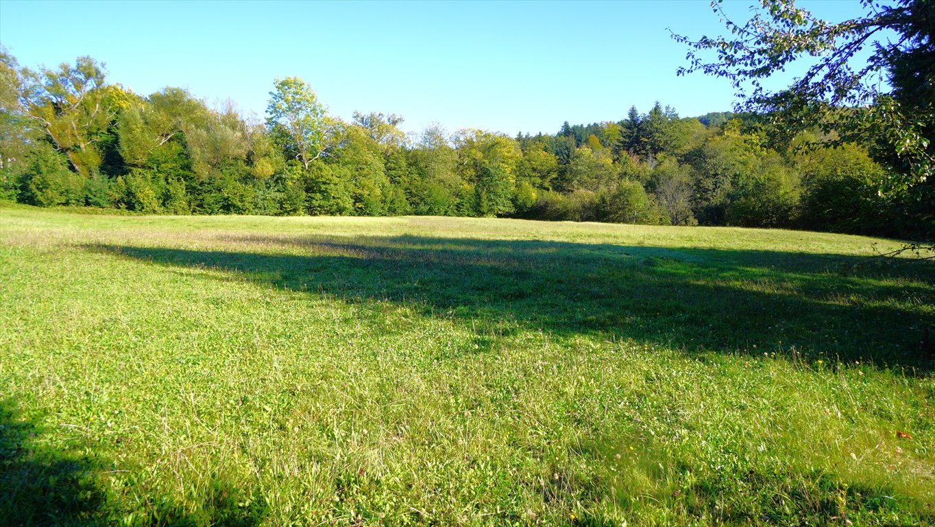 Działka budowlana na sprzedaż Sękowa  8 200m2 Foto 2