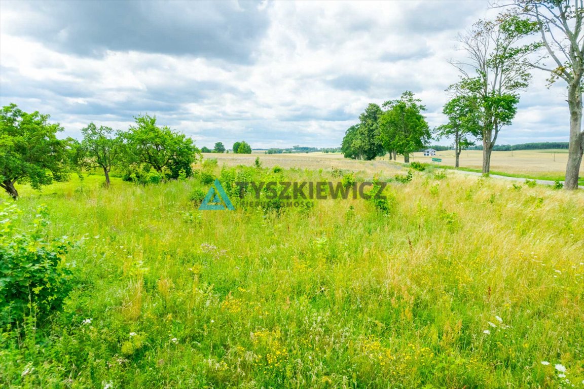 Działka budowlana na sprzedaż Stare Polaszki  2 658m2 Foto 12