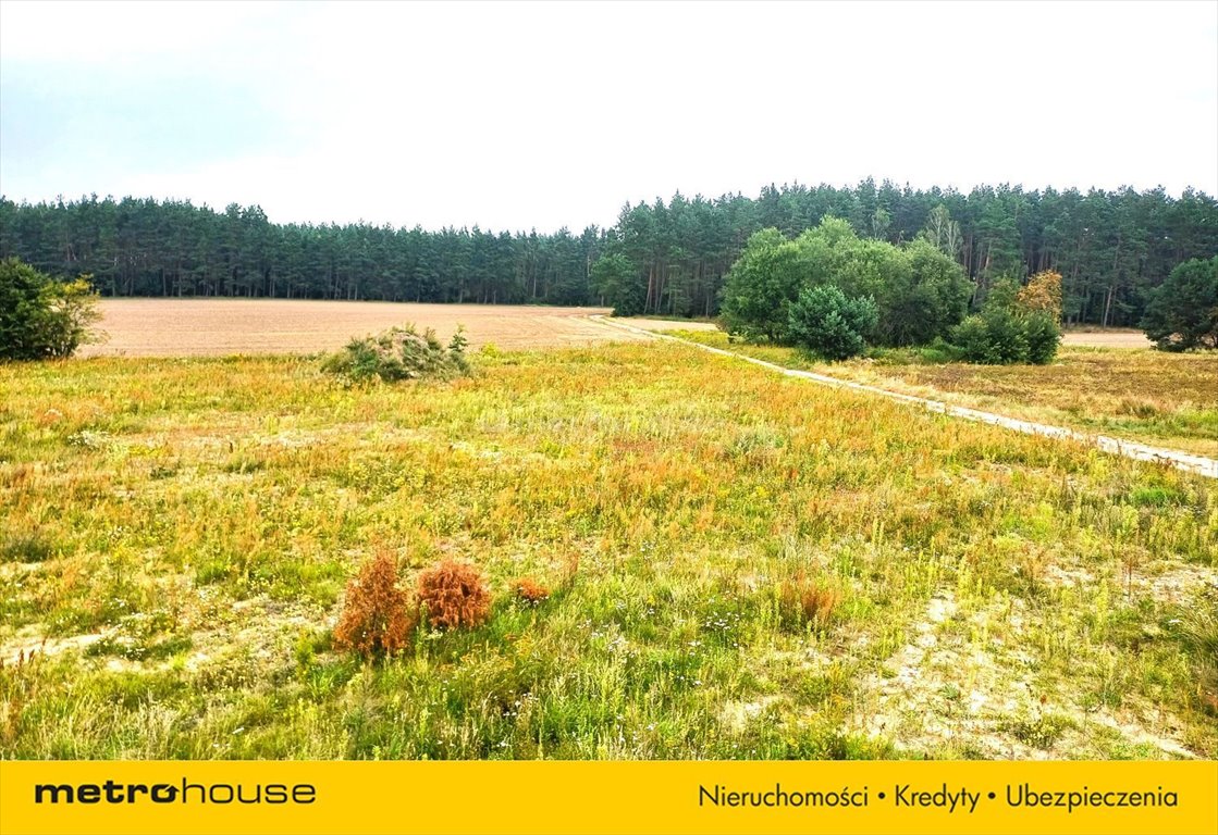 Działka inna na sprzedaż Konarzyny, Zielona  1 000m2 Foto 4