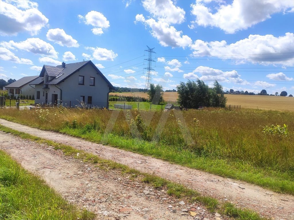 Działka budowlana na sprzedaż Tokary, DOLNA  1 655m2 Foto 6