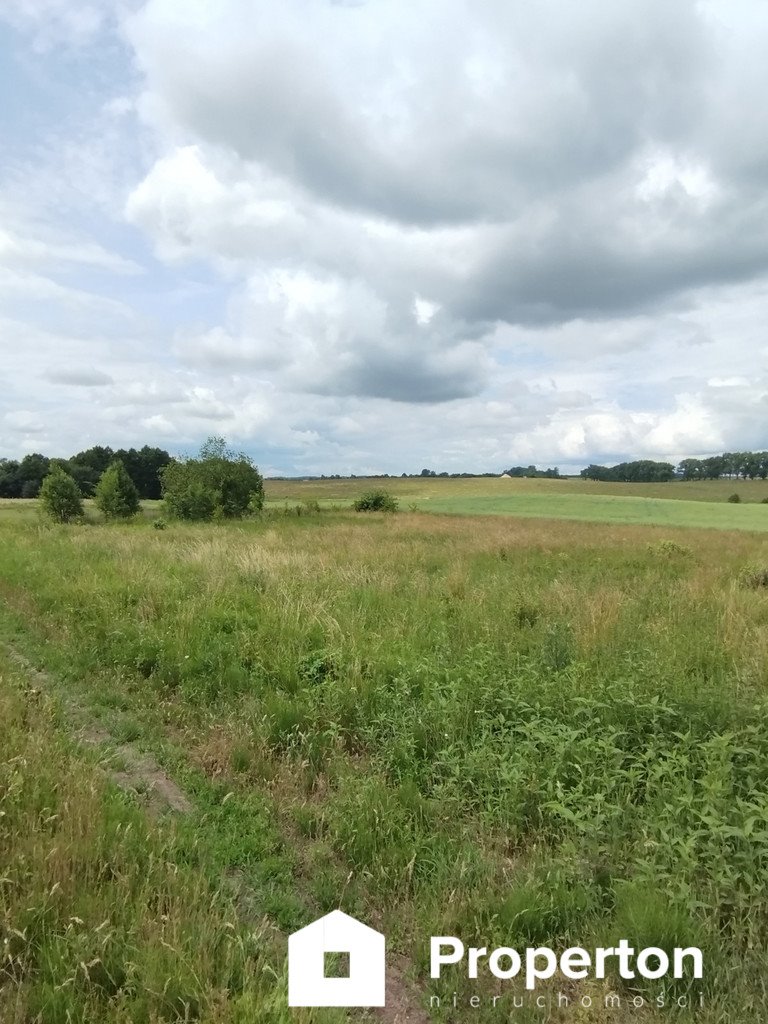 Działka rolna na sprzedaż Wilkowo  3 176m2 Foto 2