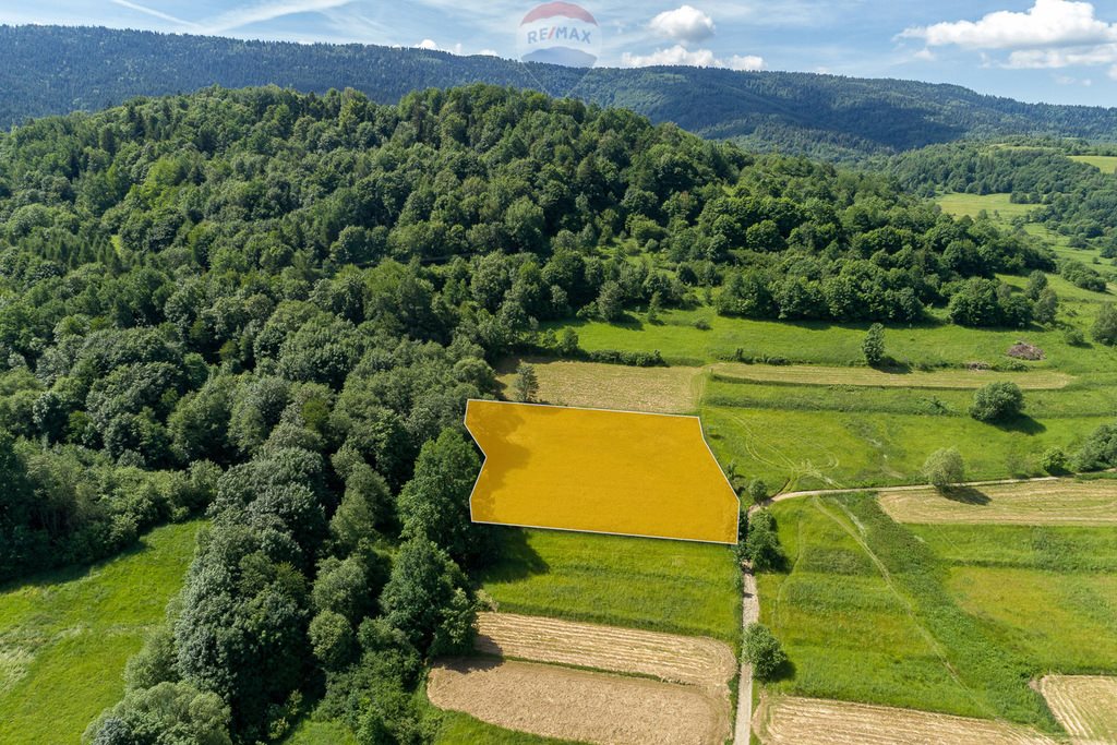 Działka rolna na sprzedaż Tenczyn  3 280m2 Foto 2