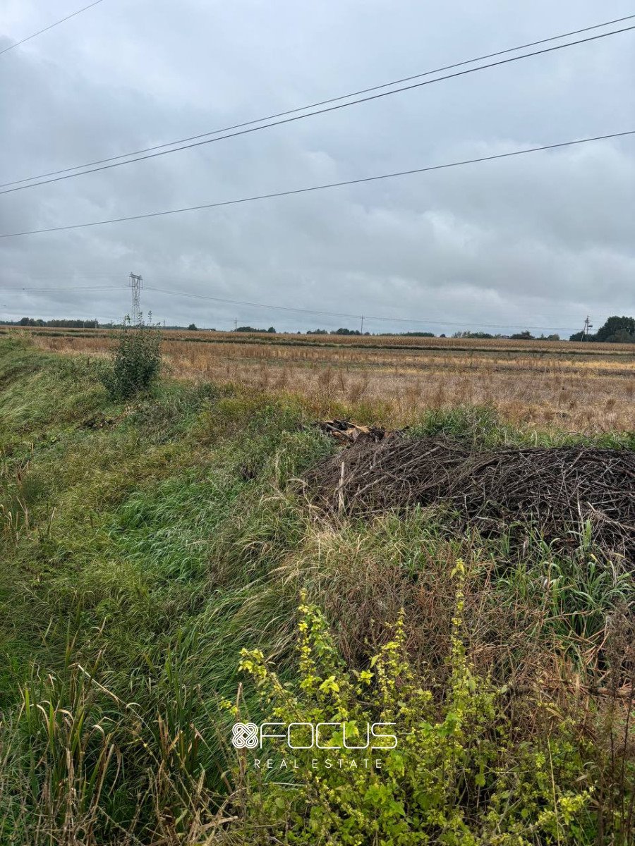 Działka przemysłowo-handlowa na sprzedaż Bramki, Północna  20 000m2 Foto 5