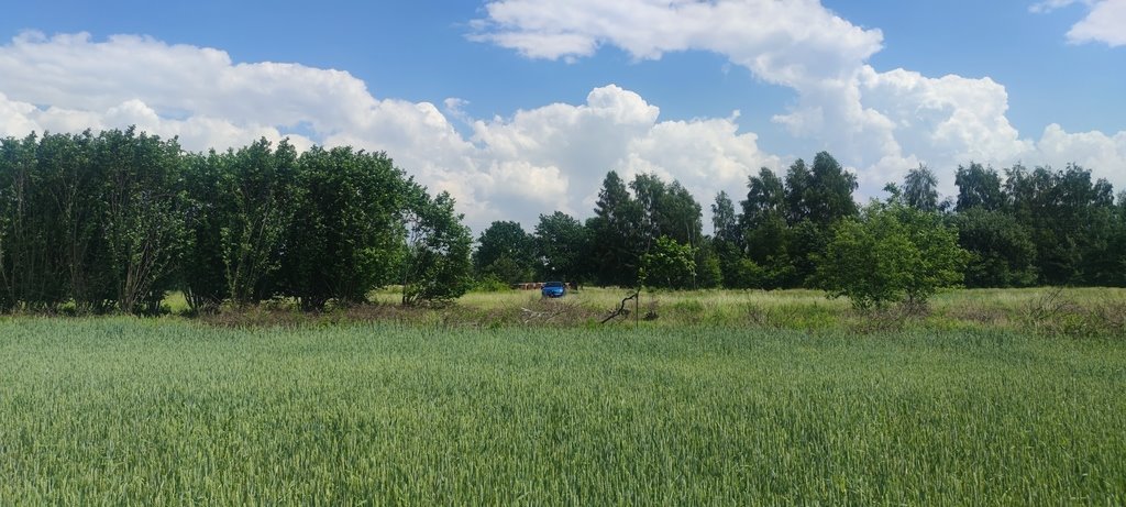 Działka budowlana na sprzedaż Borzęcin Mały  1 000m2 Foto 8