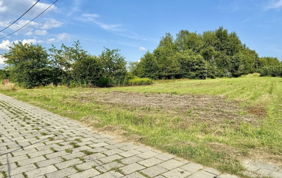 Działka budowlana na sprzedaż Rybnik, Grabownia  790m2 Foto 10