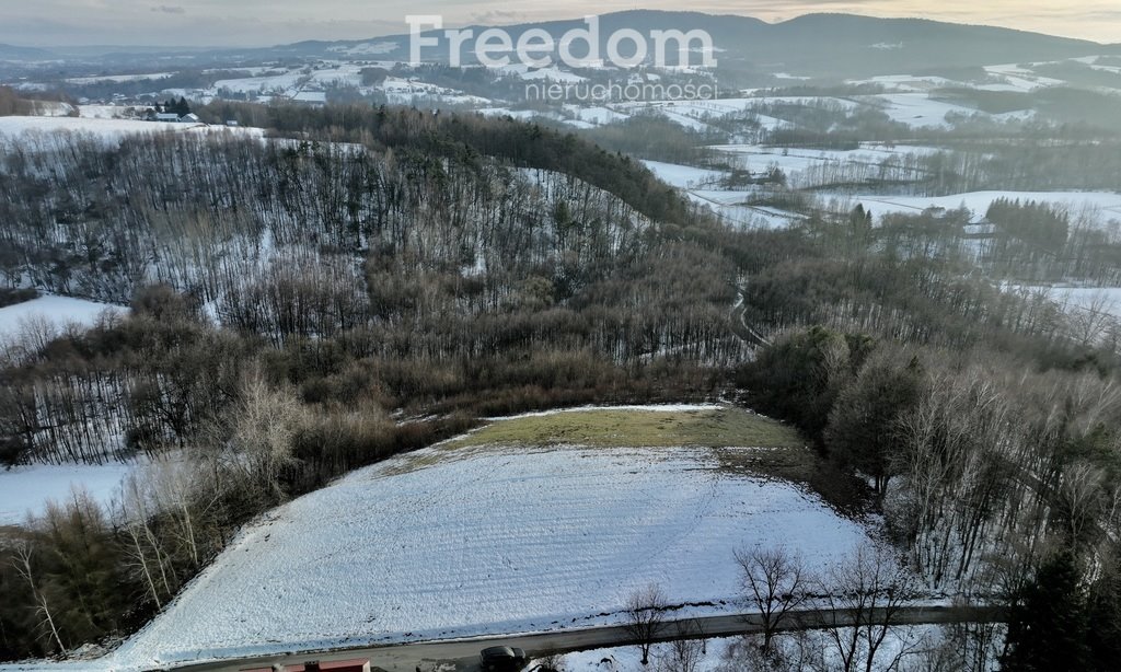 Działka budowlana na sprzedaż Błażkowa  4 544m2 Foto 3