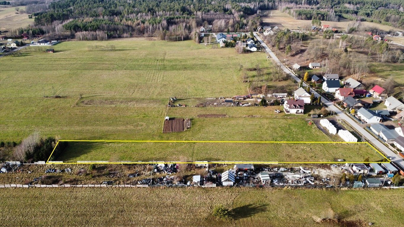 Działka budowlana na sprzedaż Radomice  4 123m2 Foto 3