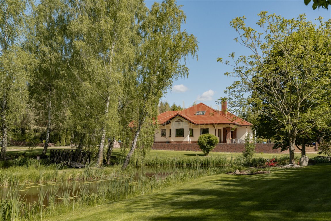 Przyjaźń: Rezydencja 320 m² z własnym stawem i 1 ha działki Przyjaźń, Nowowiejska  320m2 Foto 1