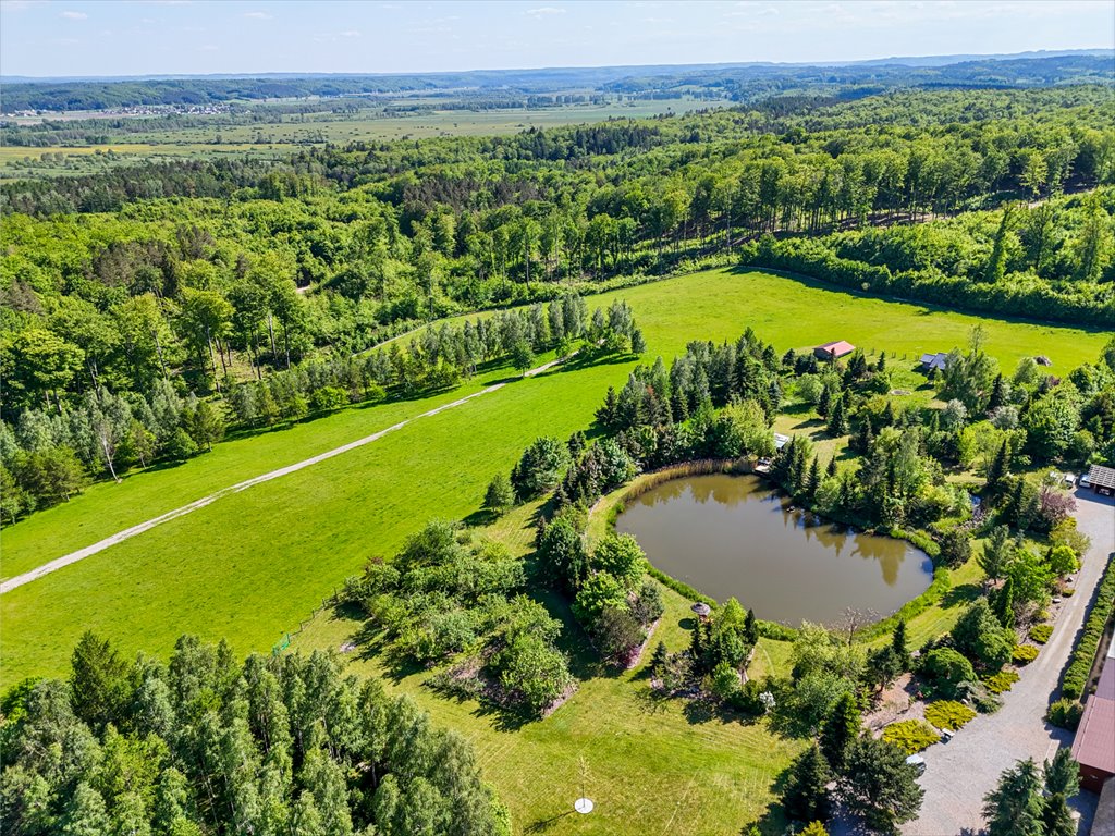 Działka budowlana na sprzedaż Gniewino  3 450m2 Foto 1