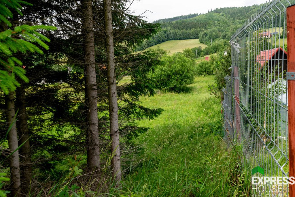 Działka budowlana na sprzedaż Stronie Śląskie  4 069m2 Foto 12