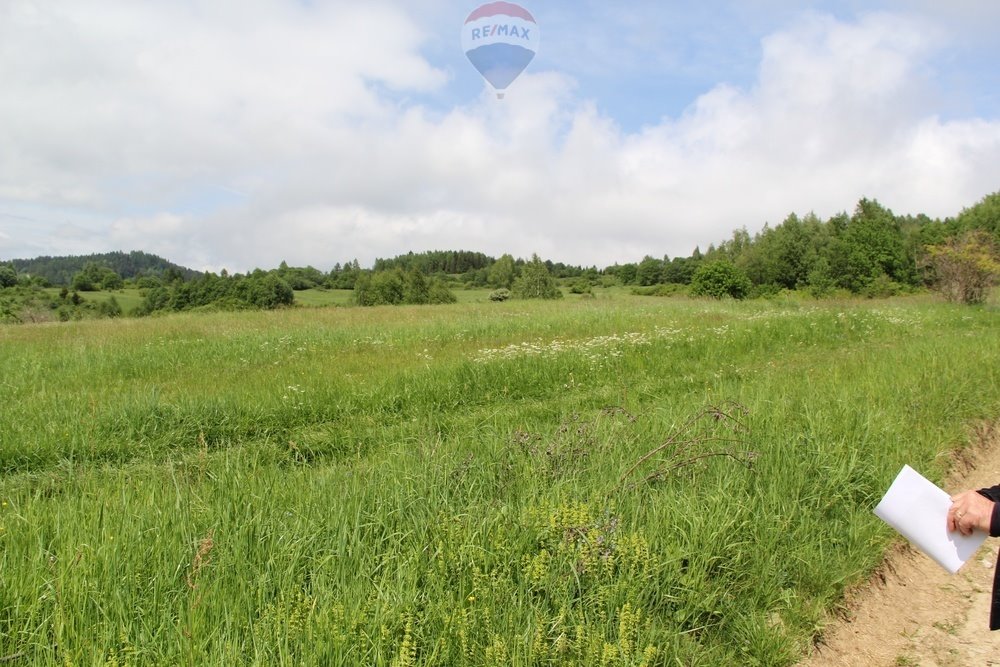 Działka leśna na sprzedaż Krośnica  8 049m2 Foto 9