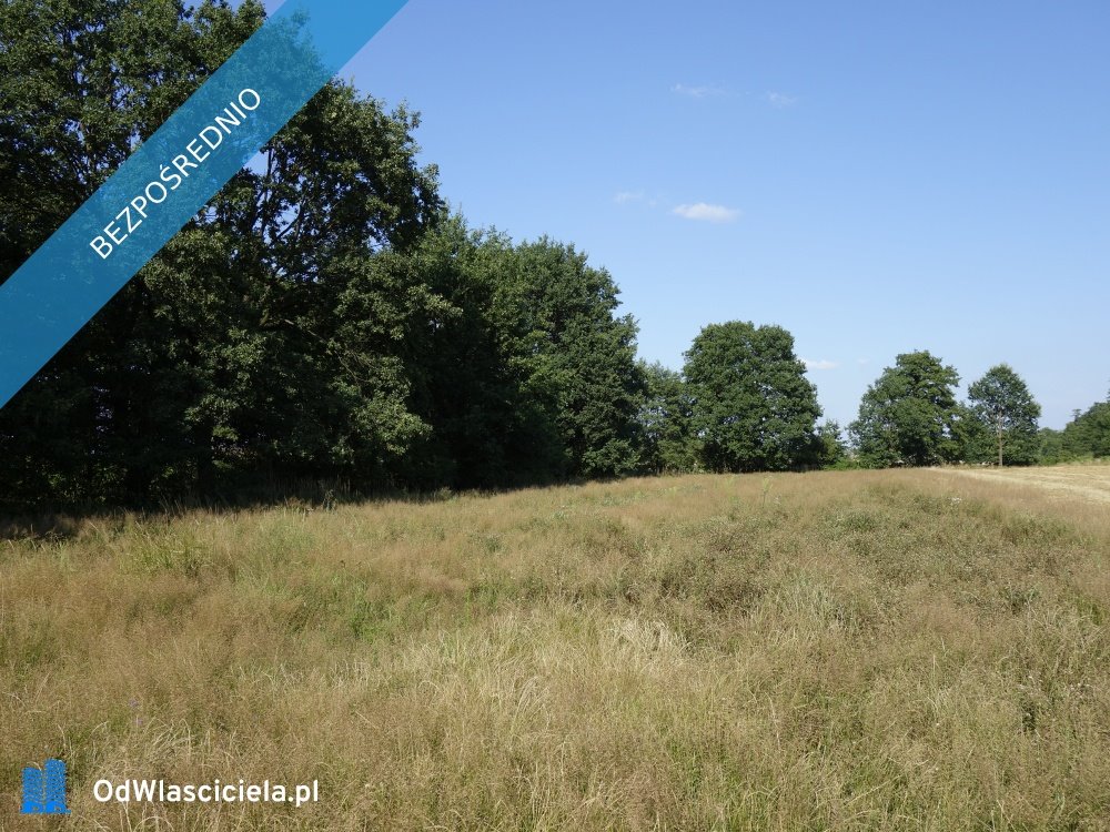 Działka rolna na sprzedaż Skoczów  5 700m2 Foto 8