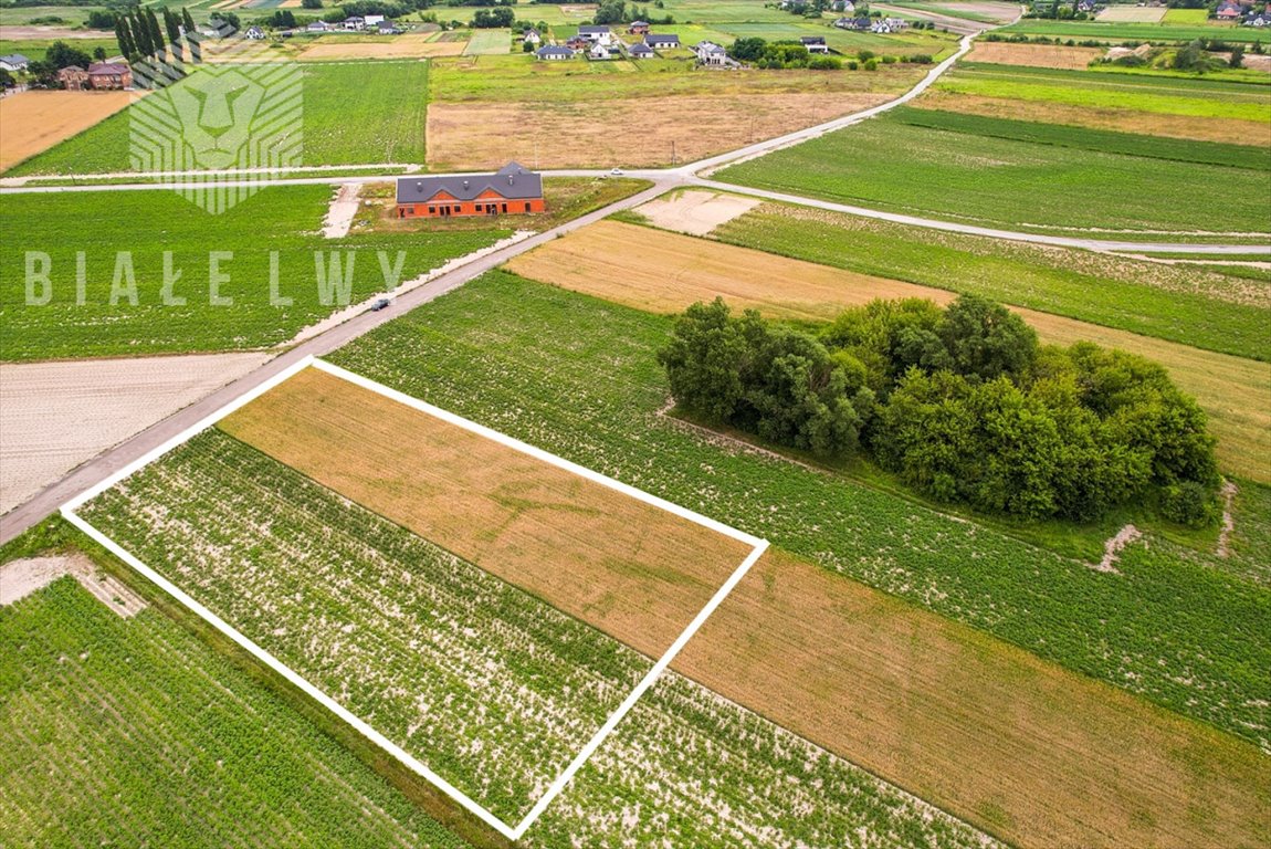 Działka przemysłowo-handlowa na sprzedaż Łady, Grudzi  4 157m2 Foto 1